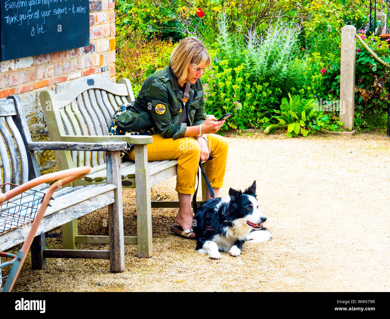 Helmsley Walled Garden habillés d'une jeune femme assise et à l'aide d'un téléphone mobile avec un Colley chien d'alerte Banque D'Images