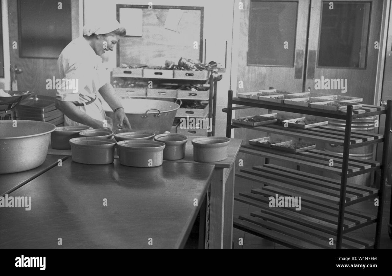 Années 1950, historiques, une femme cuisinière dans la cuisine d'une école secondaire du comté de l'État britannique, England, UK. Banque D'Images