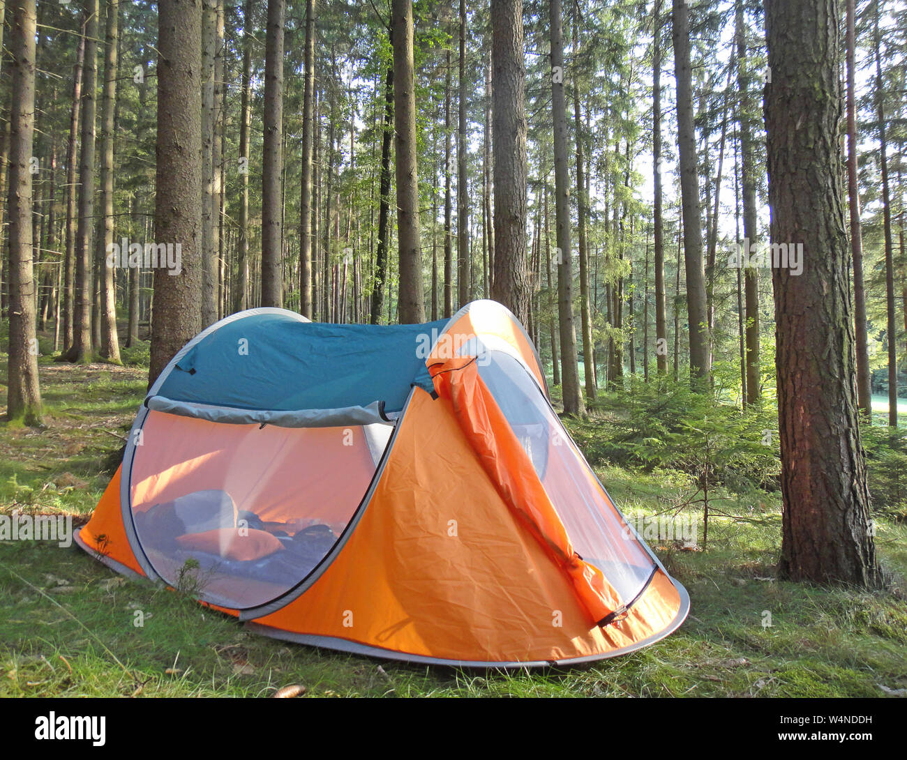 Deux secondes tente de camping en forêt wold contexte fine art tirages de haute qualité produits Banque D'Images