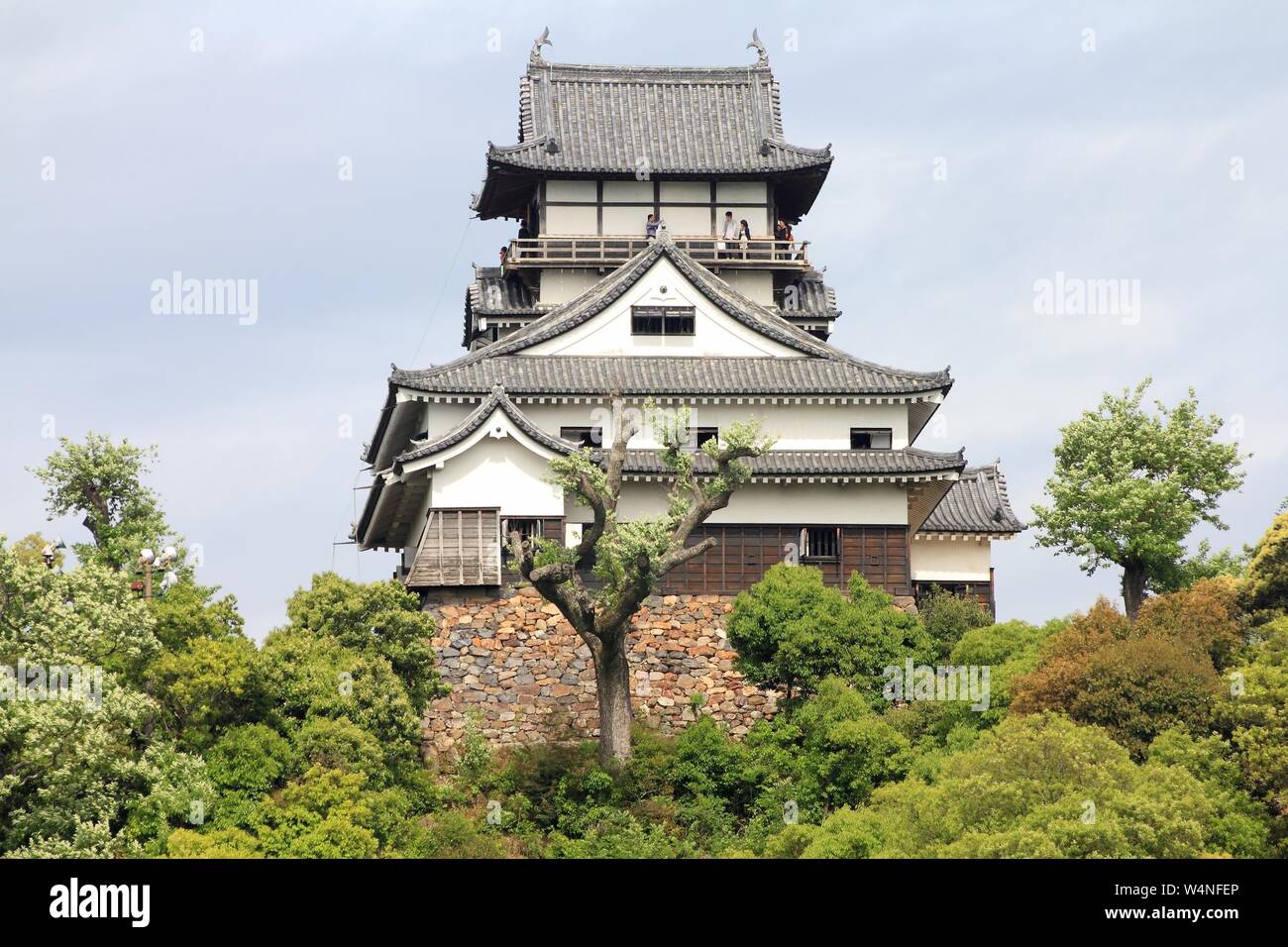 Château japonais au Japon, Inuyama - ville à Aichi prefeture de la région de Chubu. Banque D'Images