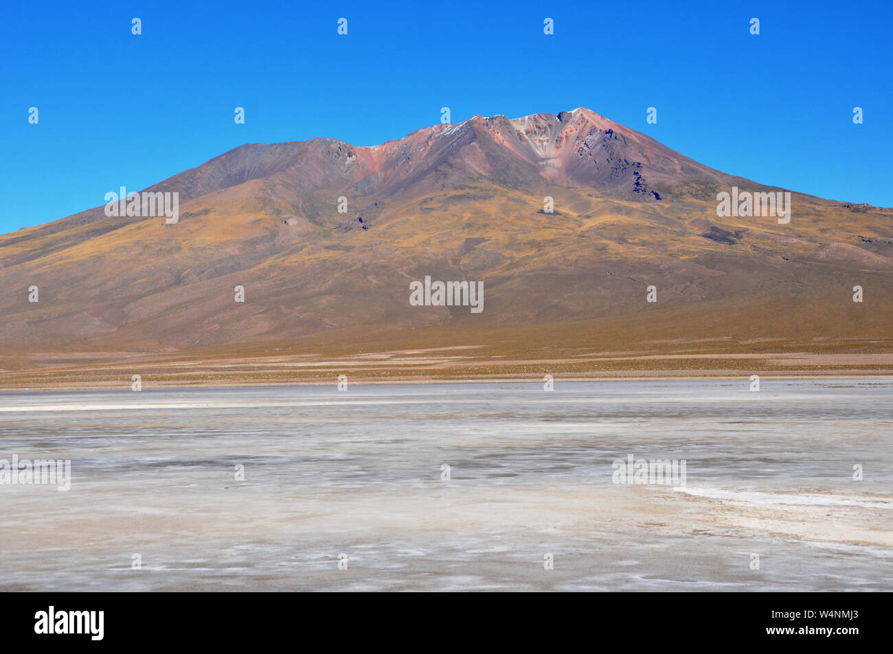 Voyage en Bolivie et au Pérou et au Chili à lagunas potosi et lac Titicaca Banque D'Images