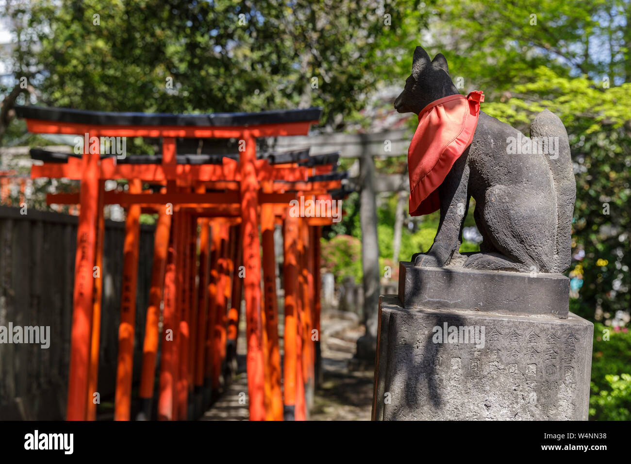 Torii gates au Sanctuaire Nezu dans quartier Bunkyo, Tokyo, Japon. Banque D'Images