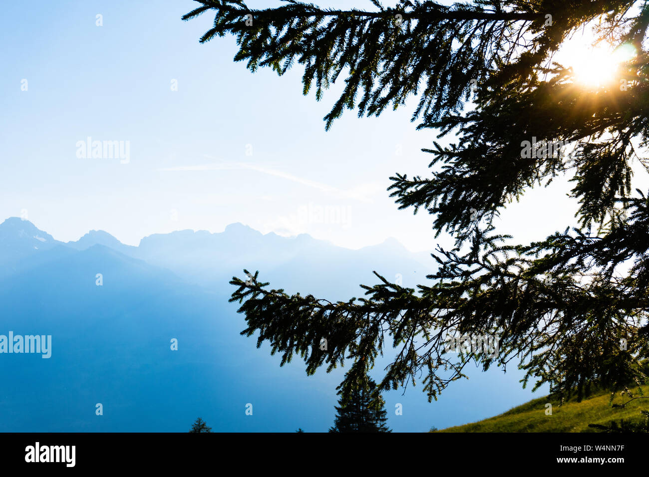 Les silhouettes bleu des Alpes en arrière-plan une colline et des arbres dans l'avant - Vue panoramique Banque D'Images