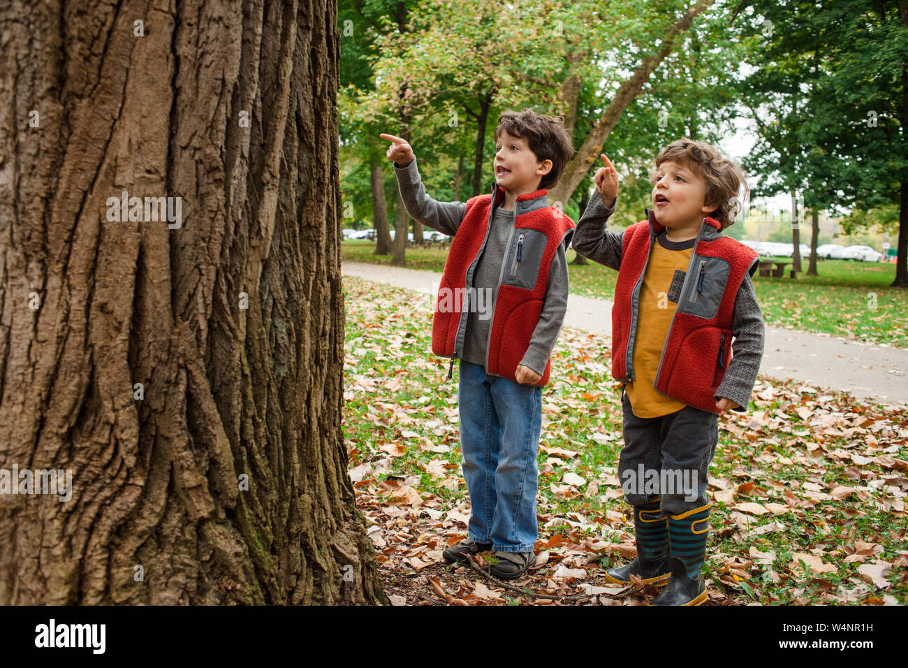 Deux petits garçons heureux d'explorer la nature en plein air Banque D'Images