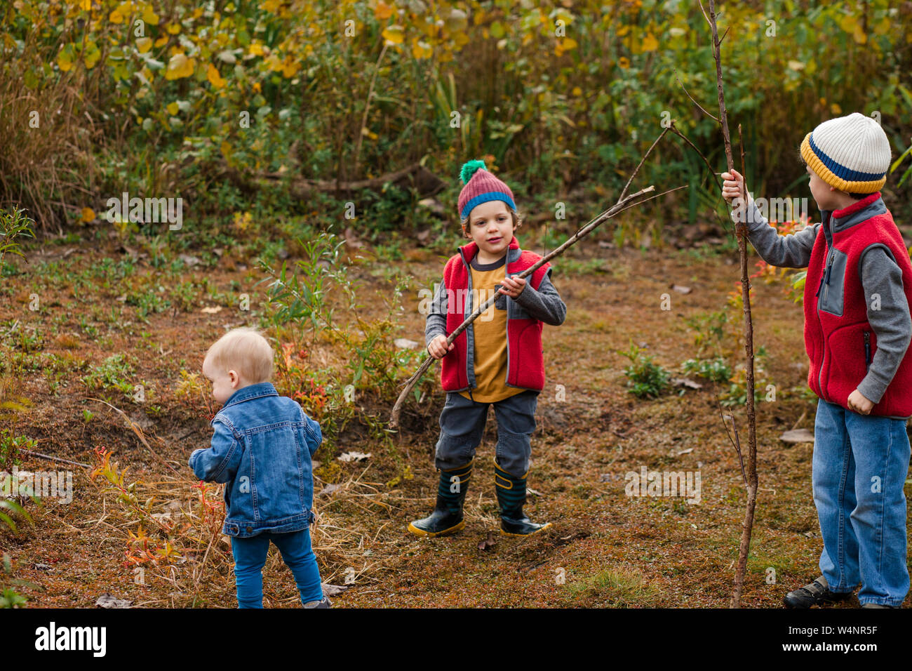 Trois petits garçons jouent ensemble dans une prairie en automne Banque D'Images