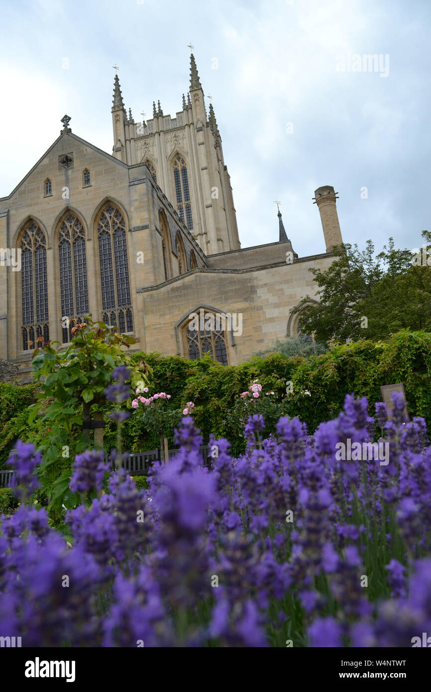 Superbe Cathédrale St Edmundsbury dans la toile, autre point de vue sur jardins de l'abbaye, Bury St Edmunds, Suffolk Banque D'Images