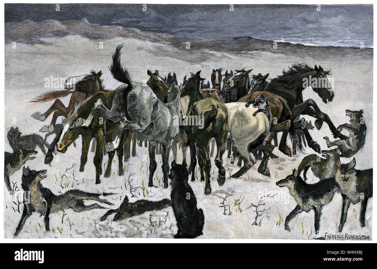 Troupeau de chevaux de bois les loups sur les hautes plaines de l'hiver. À la main, gravure sur bois, d'une illustration Frederic Remington Banque D'Images