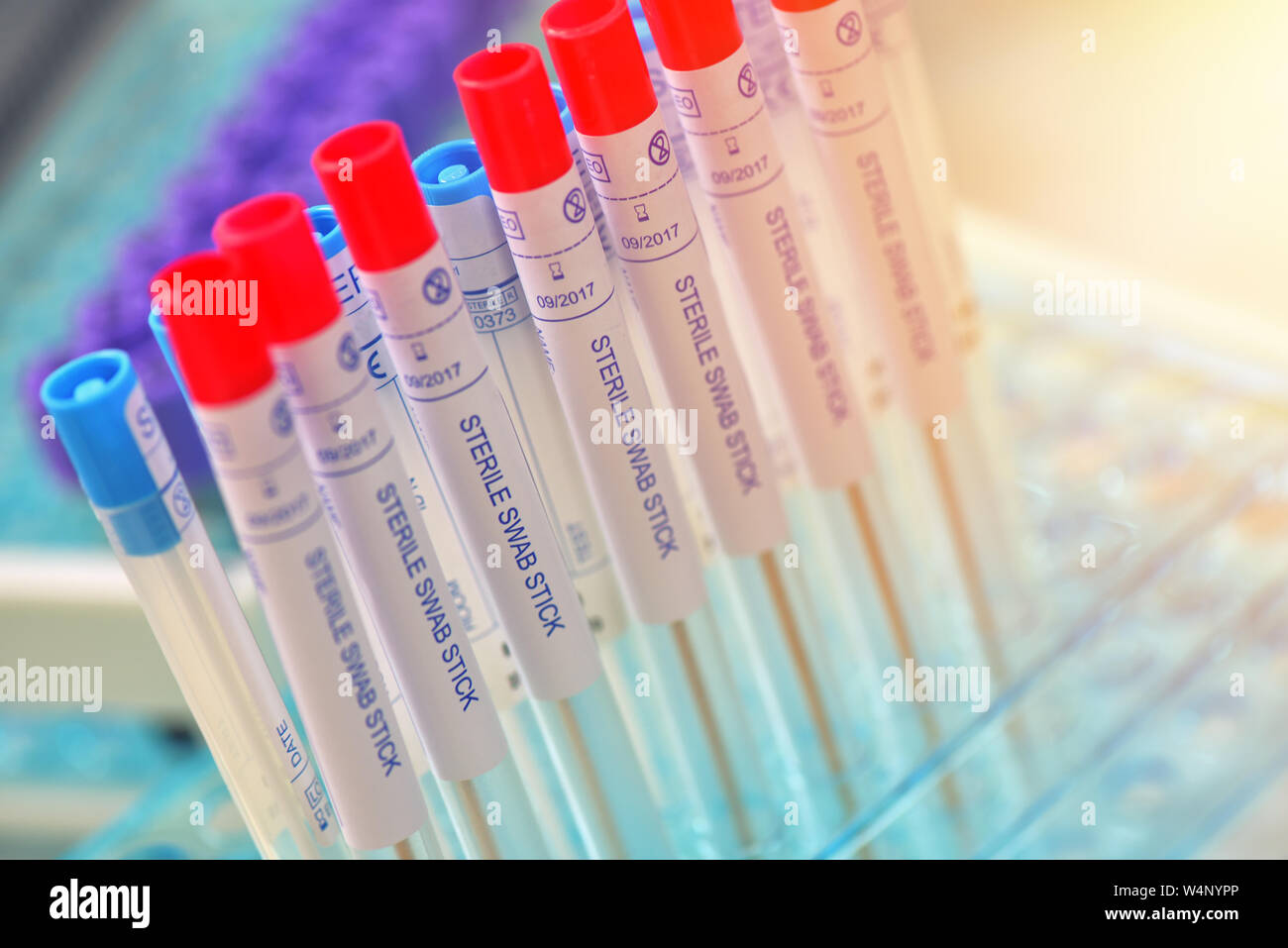 Test tubes stériles swap pour prendre échantillon de la gorge Banque D'Images