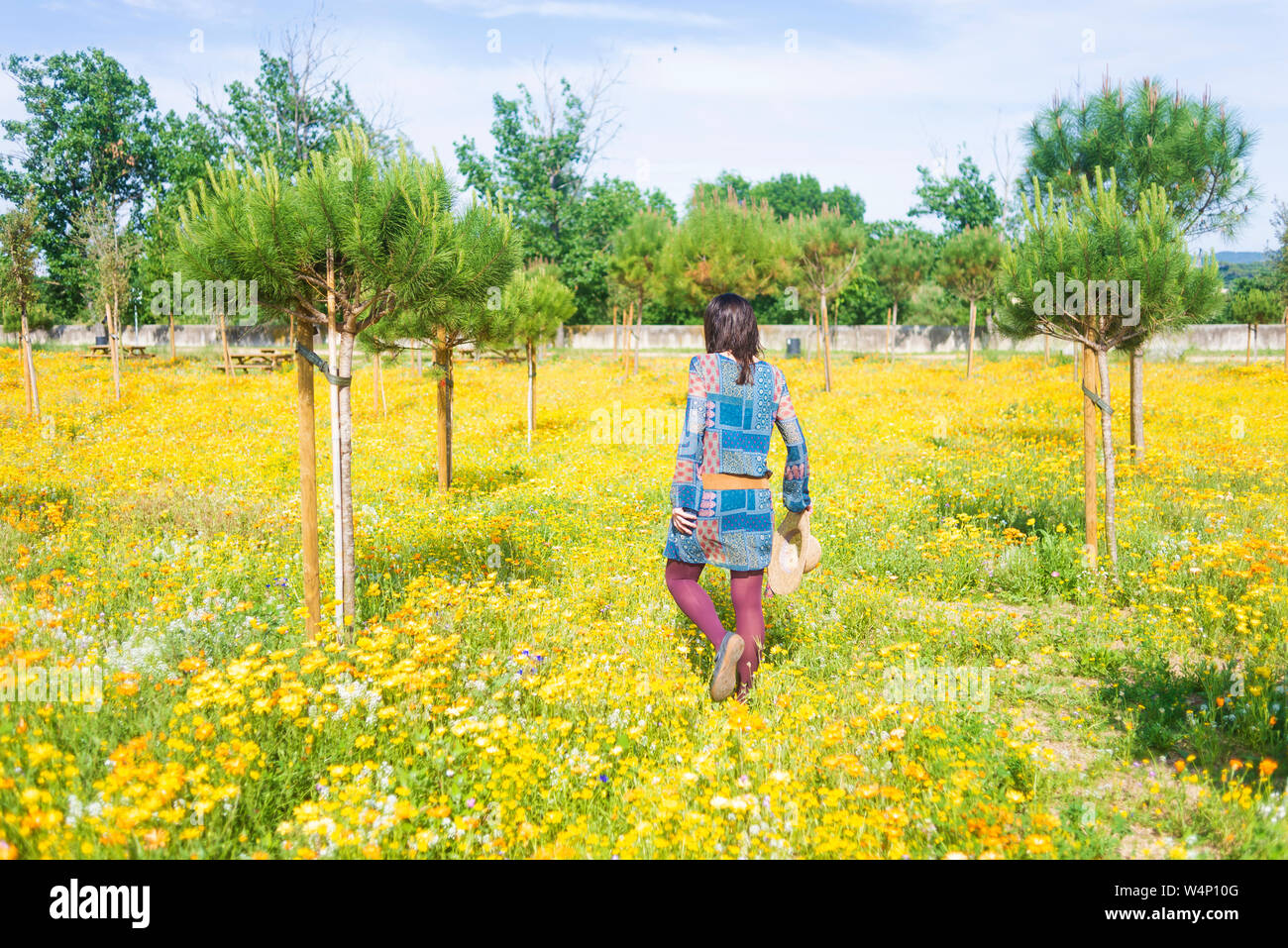 Vue arrière d'une femme en robe marche à travers un champ de fleurs tenant un chapeau Banque D'Images