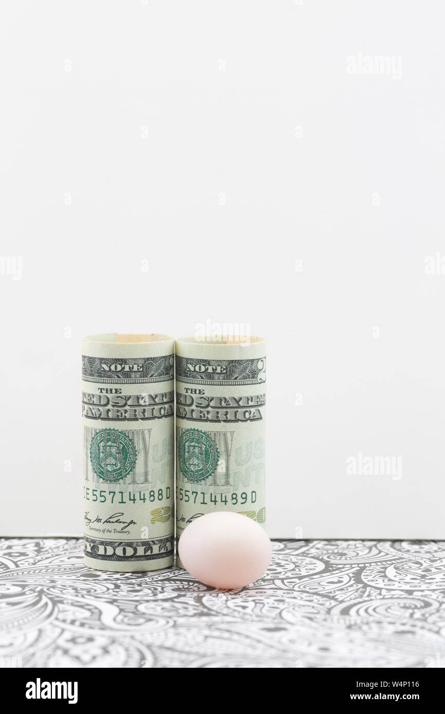 Image conceptuelle de l'épargne et l'engagement de début avec des devises américaines placées avec petit pécule. Photographie verticale à l'exemplaire de l'espace. Banque D'Images