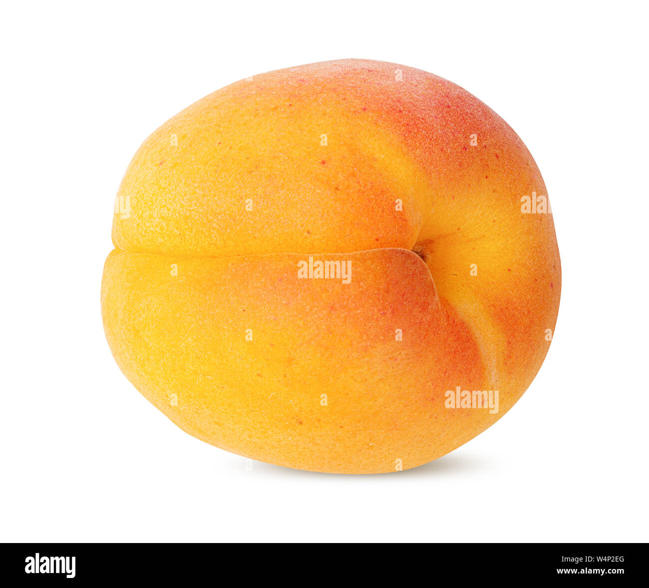 Apricot isolé sur fond blanc Banque D'Images