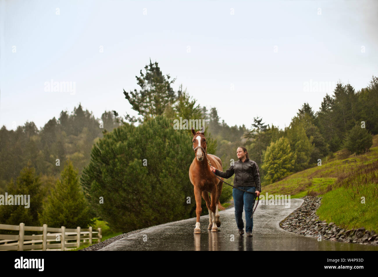 Jeune entraîneur de chevaux l'exercice de son cheval. Banque D'Images