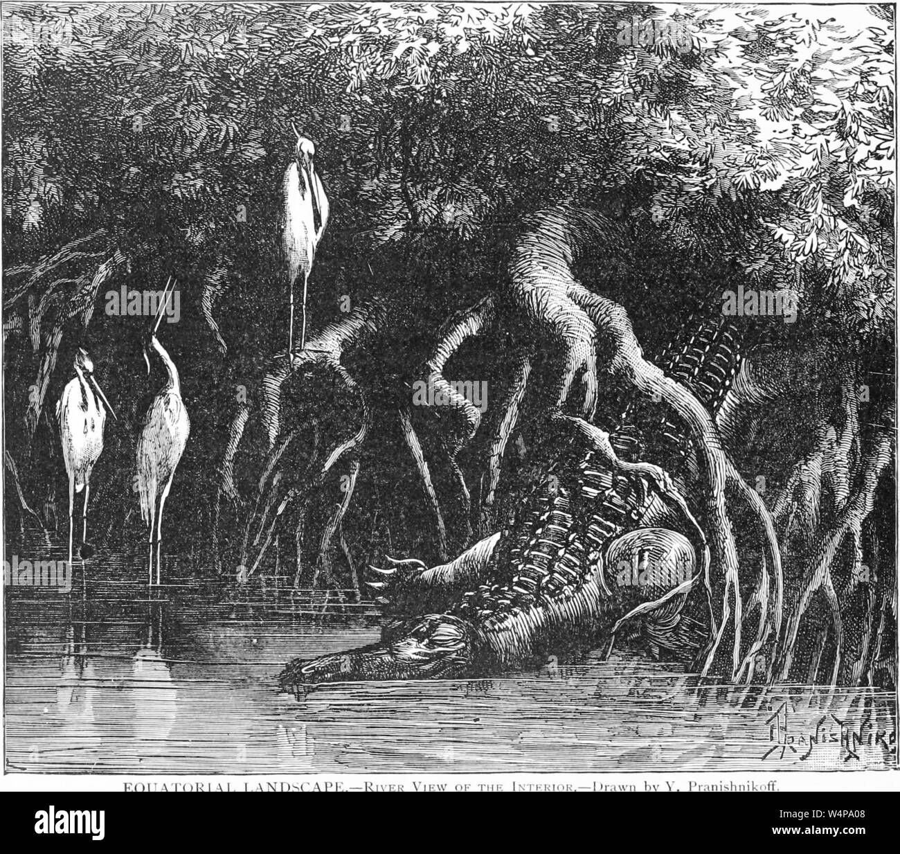 Dessin gravé des animaux sauvages dans la forêt, de la région, du livre 'Ridpath's histoire universelle de l' de John Clark Ridpath, 1897. Avec la permission de Internet Archive. () Banque D'Images