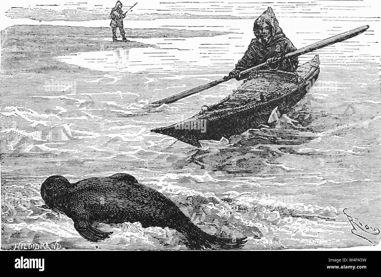 Dessin gravé de l'Esquimau indiens la chasse au phoque, du livre 'Ridpath's histoire universelle de l' de John Clark Ridpath, 1897. Avec la permission de Internet Archive. () Banque D'Images