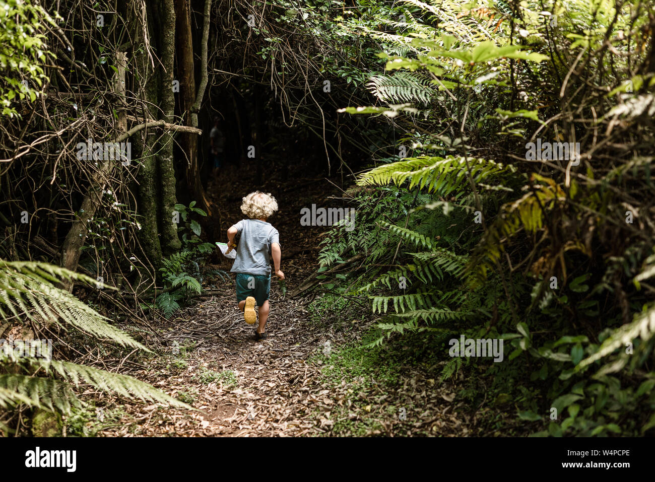 Jeune garçon courir dans une forêt luxuriante Banque D'Images