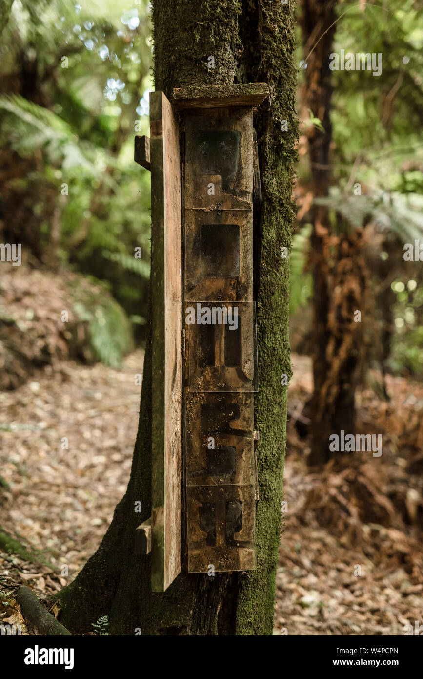 Habitat Weta fort dans une réserve naturelle en Nouvelle Zélande Banque D'Images