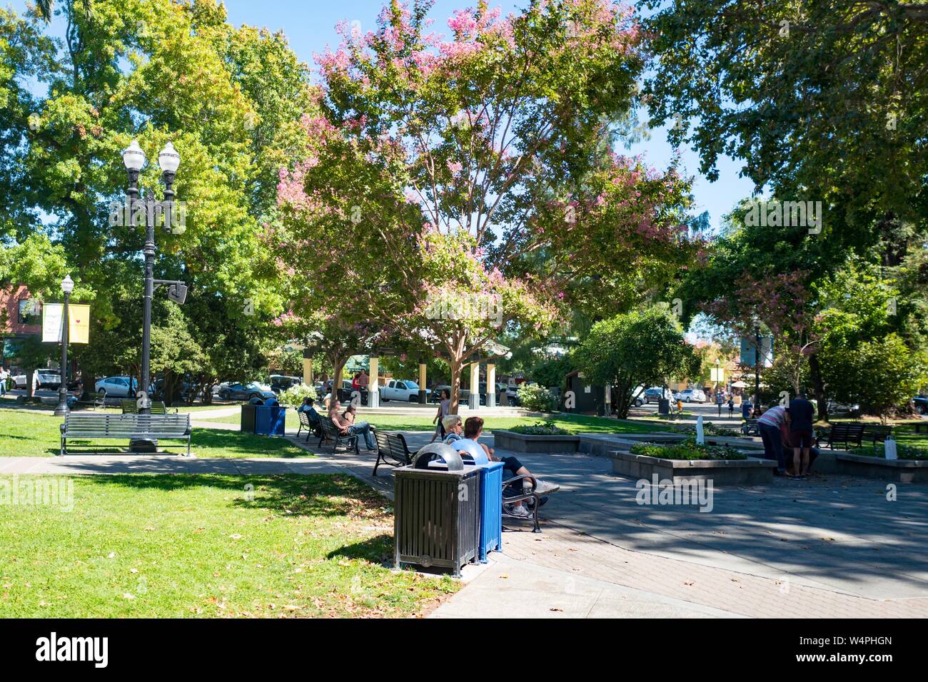 Se détendre sur des bancs entre les arbres sur la place centrale dans le Comté de Sonoma Wine Country ville de Healdsburg, Californie, le 15 septembre 2018. () Banque D'Images