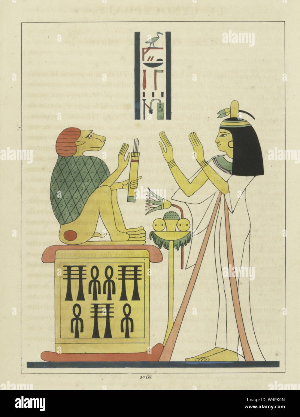 Emblème de l'Égypte ancienne de dieu Thoth, assis sur son trône dans une forme d'un babouin, dieu de la magie, de l'écriture, le développement de la science, et le jugement des morts, illustration du livre 'panthéon égyptien' par Léon Jean Joseph Dubois, 1824. () Banque D'Images