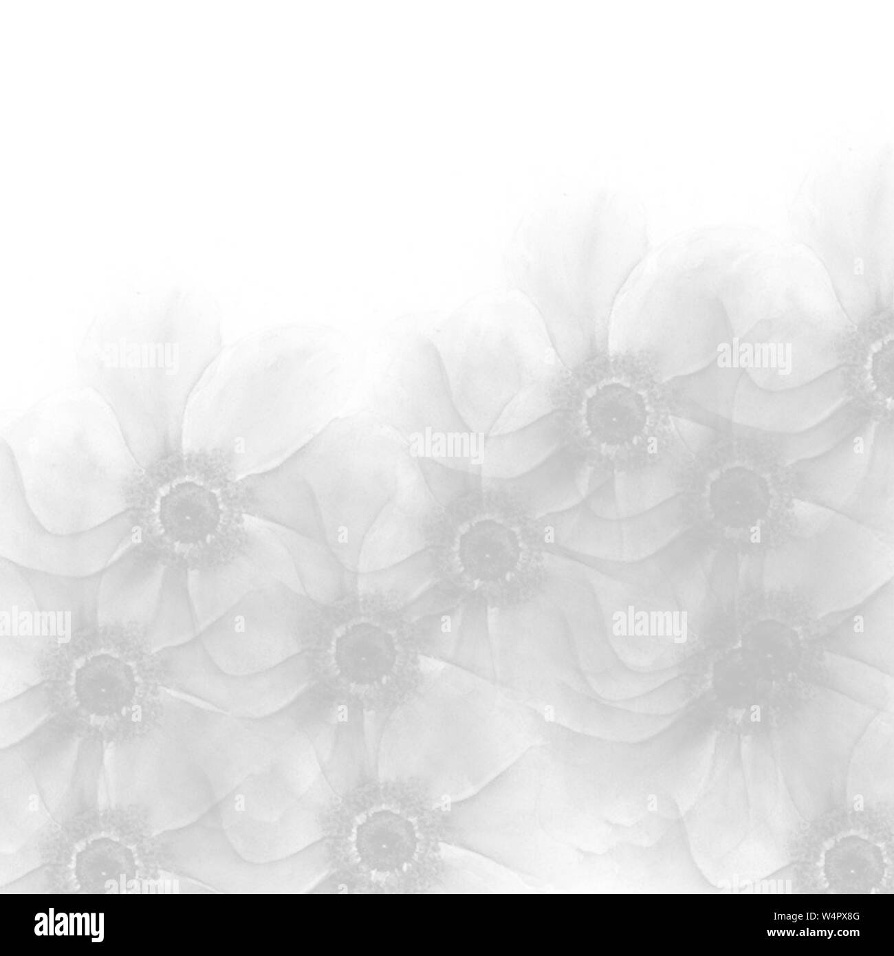 Gris clair transparent aquarelle dessiné à la main avec motif fleurs zone supérieur blanc Banque D'Images
