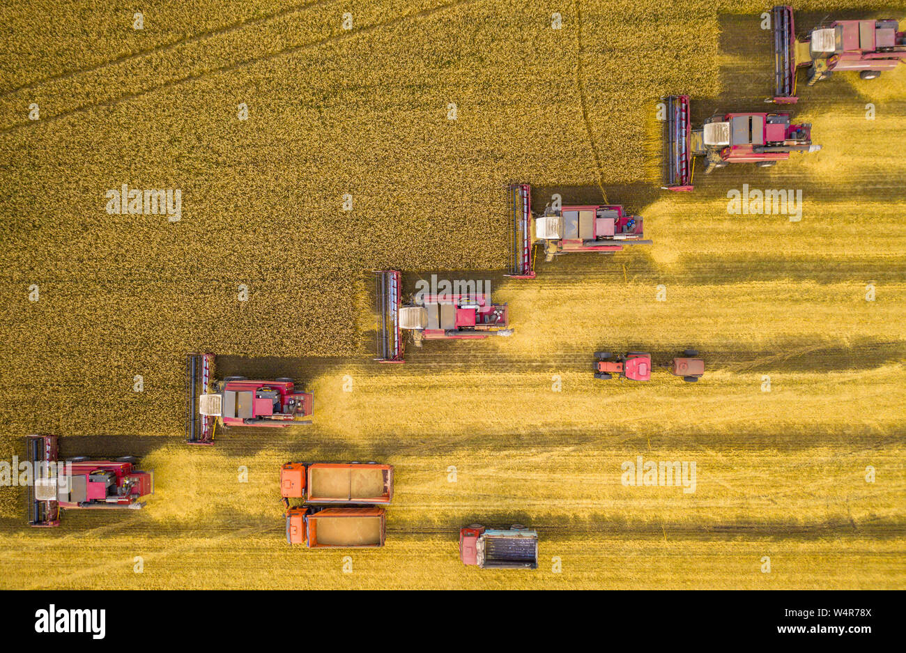 Les pêcheurs, et d'autres machines agricoles alignés dans une diagonale pour la récolte du blé haut vue depuis le quadcopter Banque D'Images