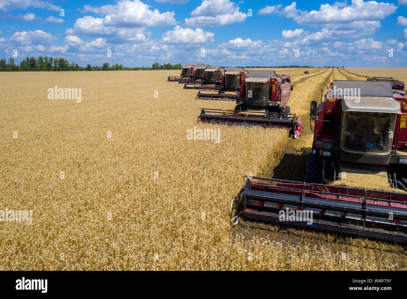 La bataille pour la moisson, les pêcheurs et autres machines agricoles alignés dans une diagonale pour la récolte du blé vue d'en haut avec un quadcopte Banque D'Images