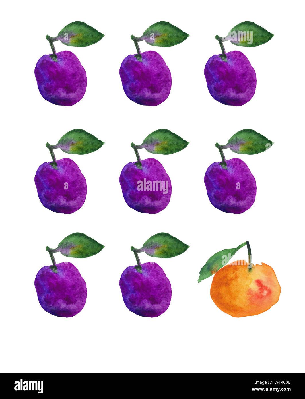 Motif peint à la main à l'aquarelle avec les prunes et la mandarine, pour t-shirt ou d'affiches Banque D'Images