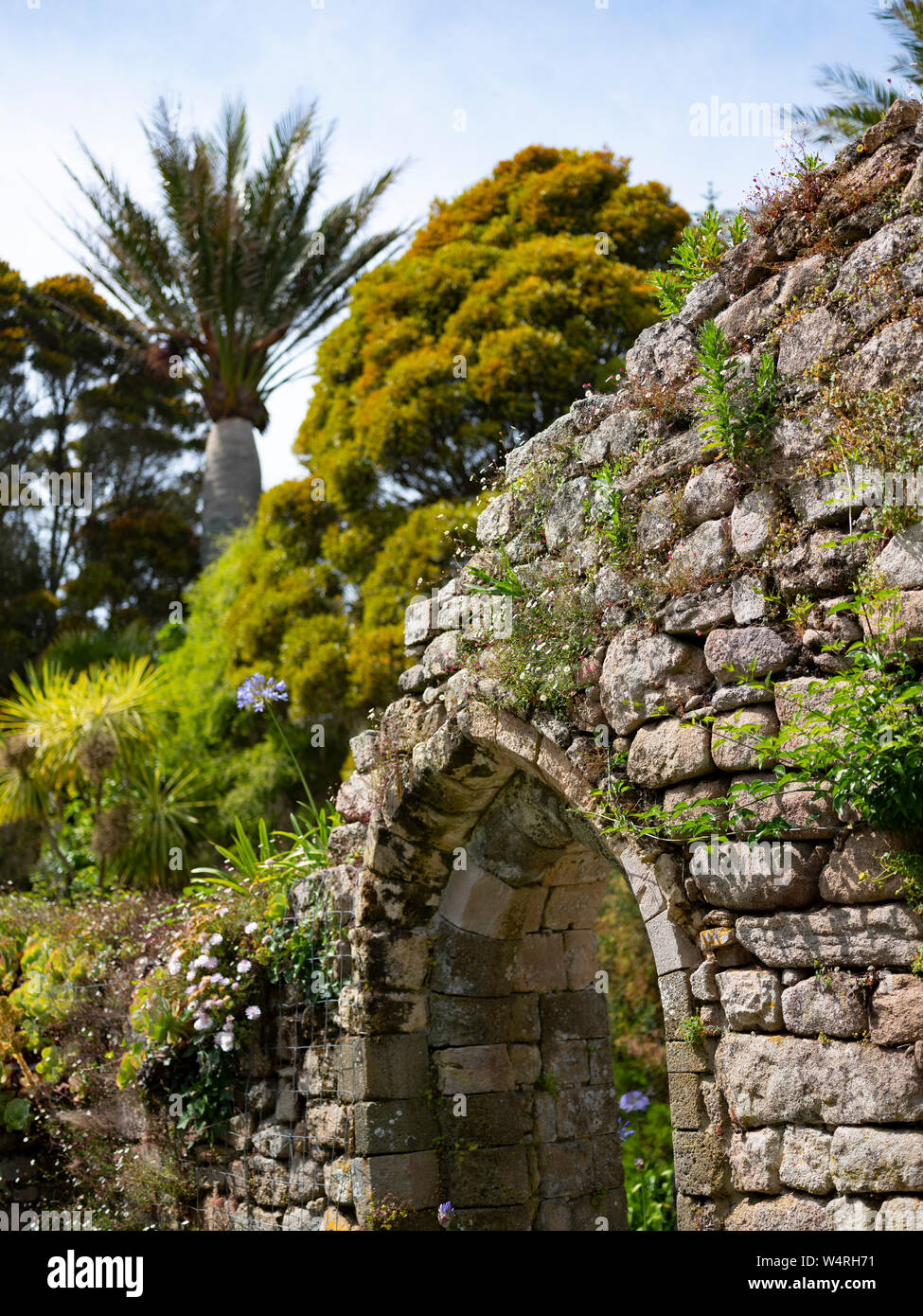 Jardin de l'abbaye de Tresco, Îles Scilly, au Royaume-Uni. Banque D'Images