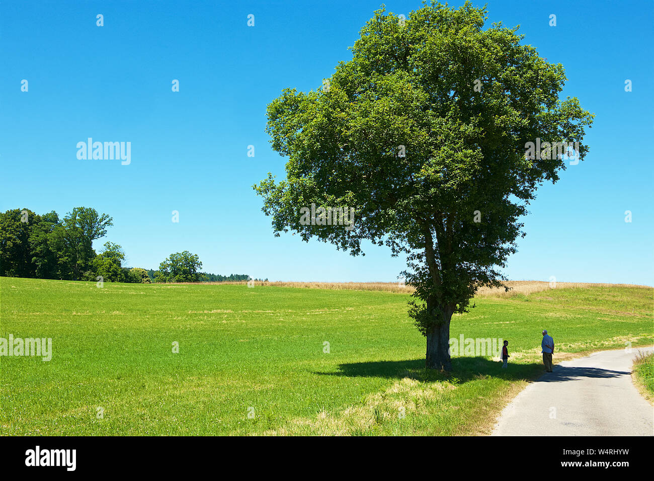 Deux personnes debout à l'ombre de l'arbre sur route en pelouse, France Banque D'Images