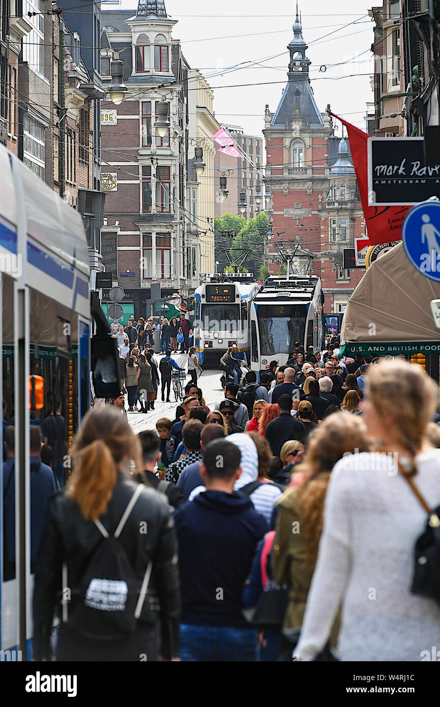 Rue ville surpeuplée, Amsterdam, Pays-Bas Banque D'Images