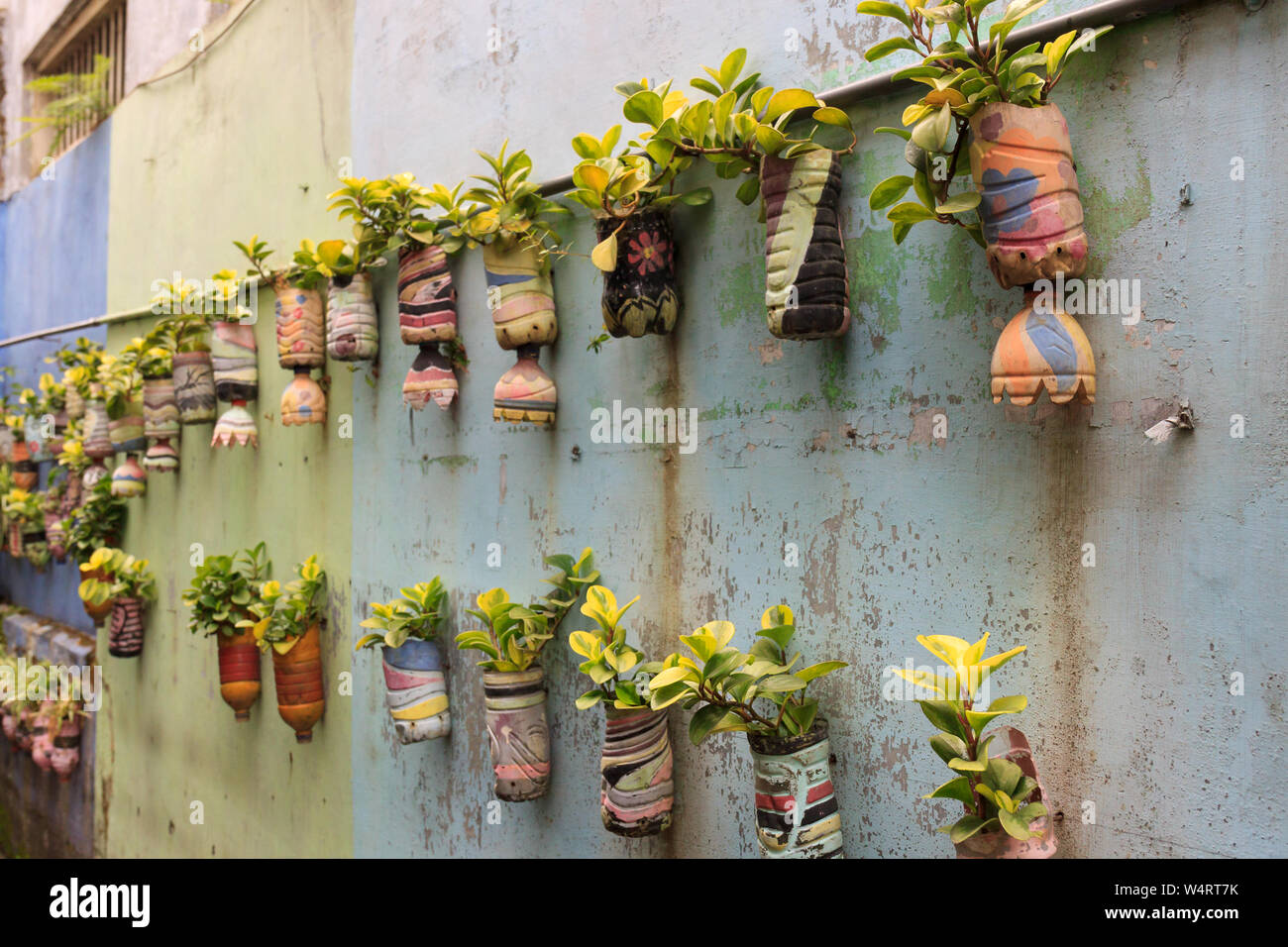 Rangée de pendaison, plantes en pot, à Malang, Indonésie. Banque D'Images