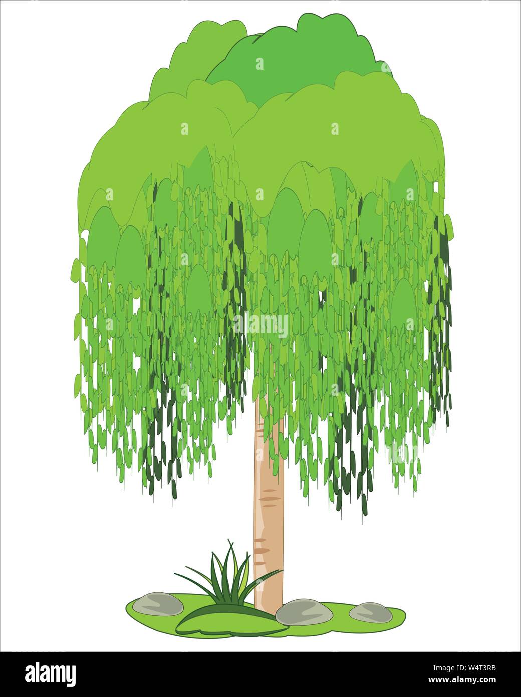 L'osier de l'arbre est isolé sur fond blanc Illustration de Vecteur