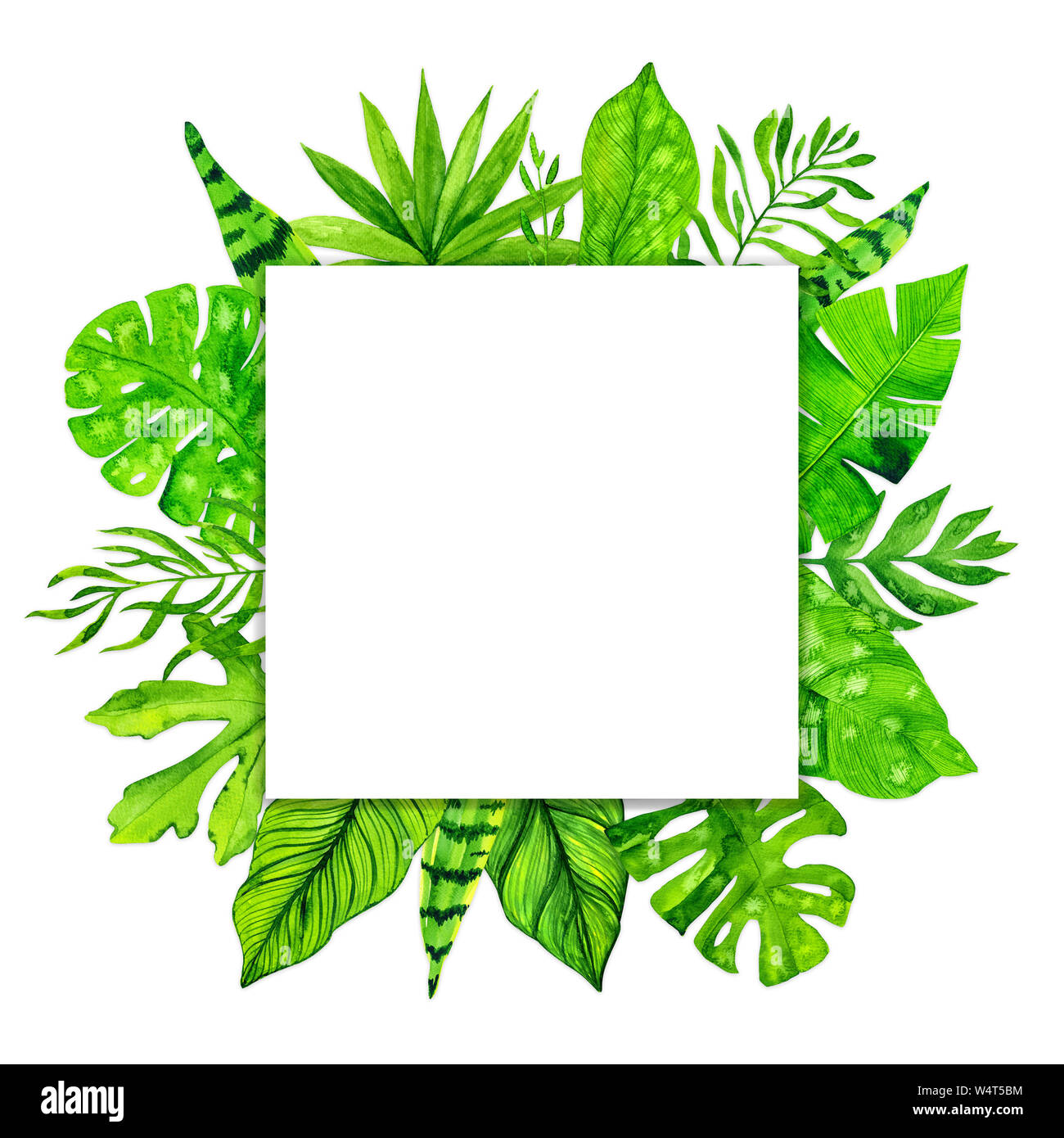 Les feuilles exotiques tropicaux cadre sur fond blanc. Illustration à l'aquarelle Banque D'Images