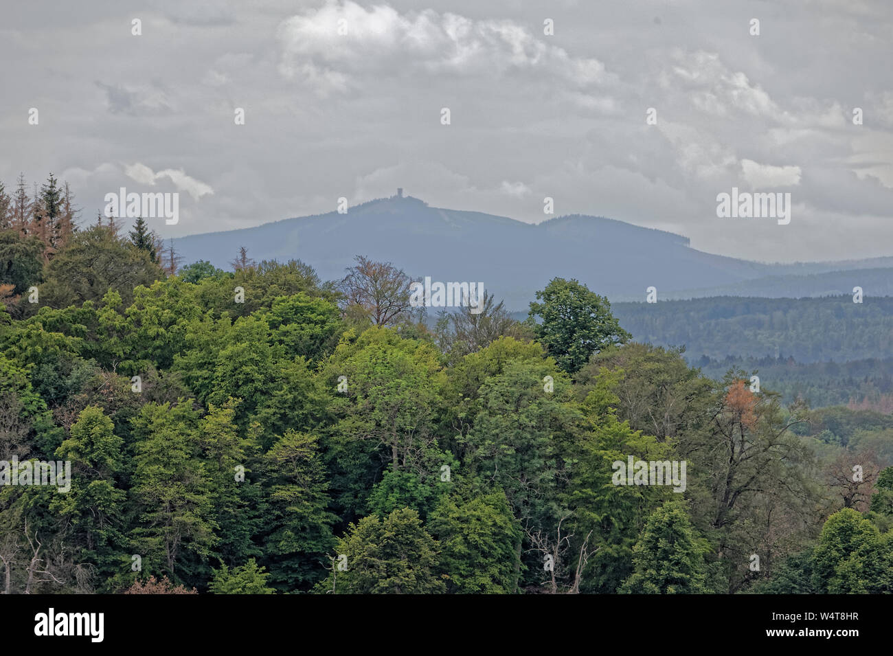 La fauconnerie- Eulenwelt-Falkenhof,Harz,Güntersberge Sachsen-Anhalt, Allemagne. Banque D'Images