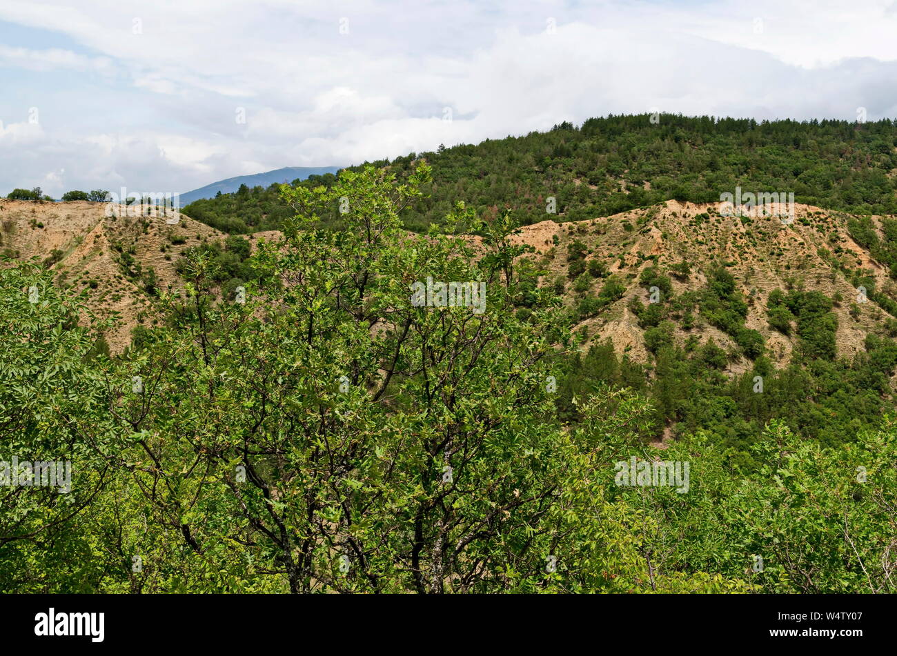 Une vue de la pente avec voisins nouveaux arrêts pyramides de yellow rock formations, part de l'ouest, la montagne de Rila, région Kyustendil Bulgarie, Europe Banque D'Images