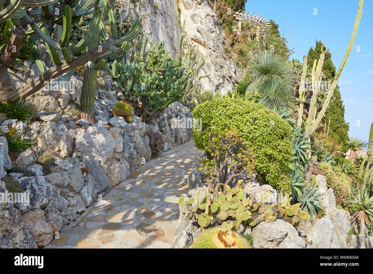 MONTE CARLO, MONACO - le 20 août 2016 : Le chemin de jardin exotique et falaise avec de rares plantes succulentes dans un jour d'été ensoleillé à Monte Carlo, Monaco. Banque D'Images