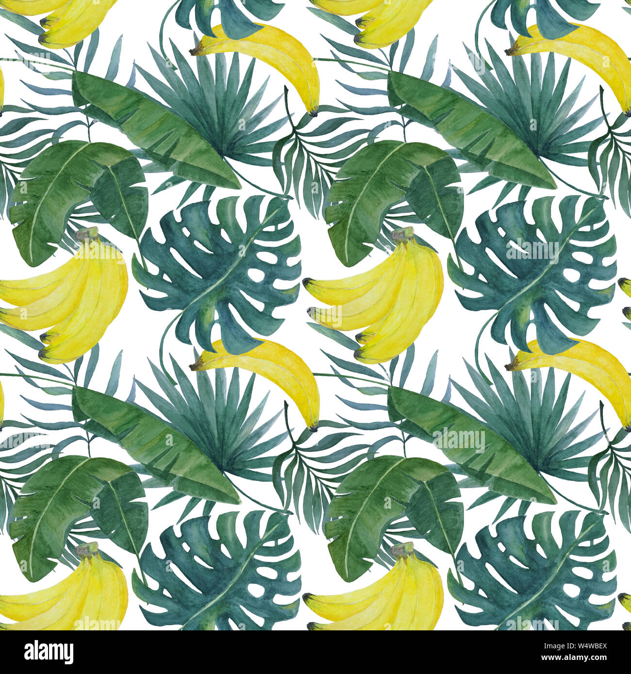 L'aquarelle transparente peinte à la main avec motif banane et sur fond blanc feuilles tropicales exotiques, l'illustration de l'emballage, du textile, du papier peint Banque D'Images