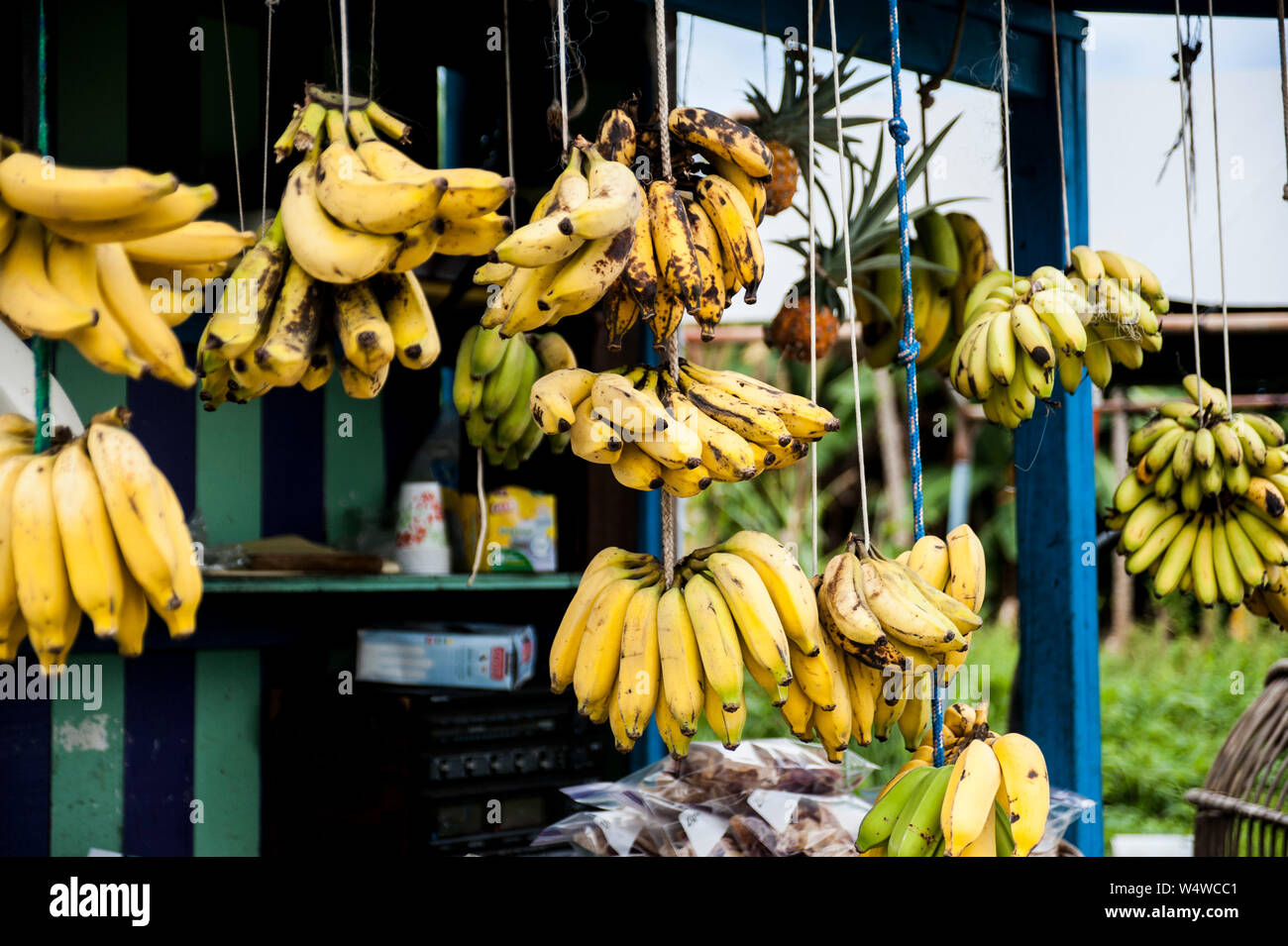 Les bananes en vente à un stand de fruits tropicaux sur l'île d'Hawaï Banque D'Images