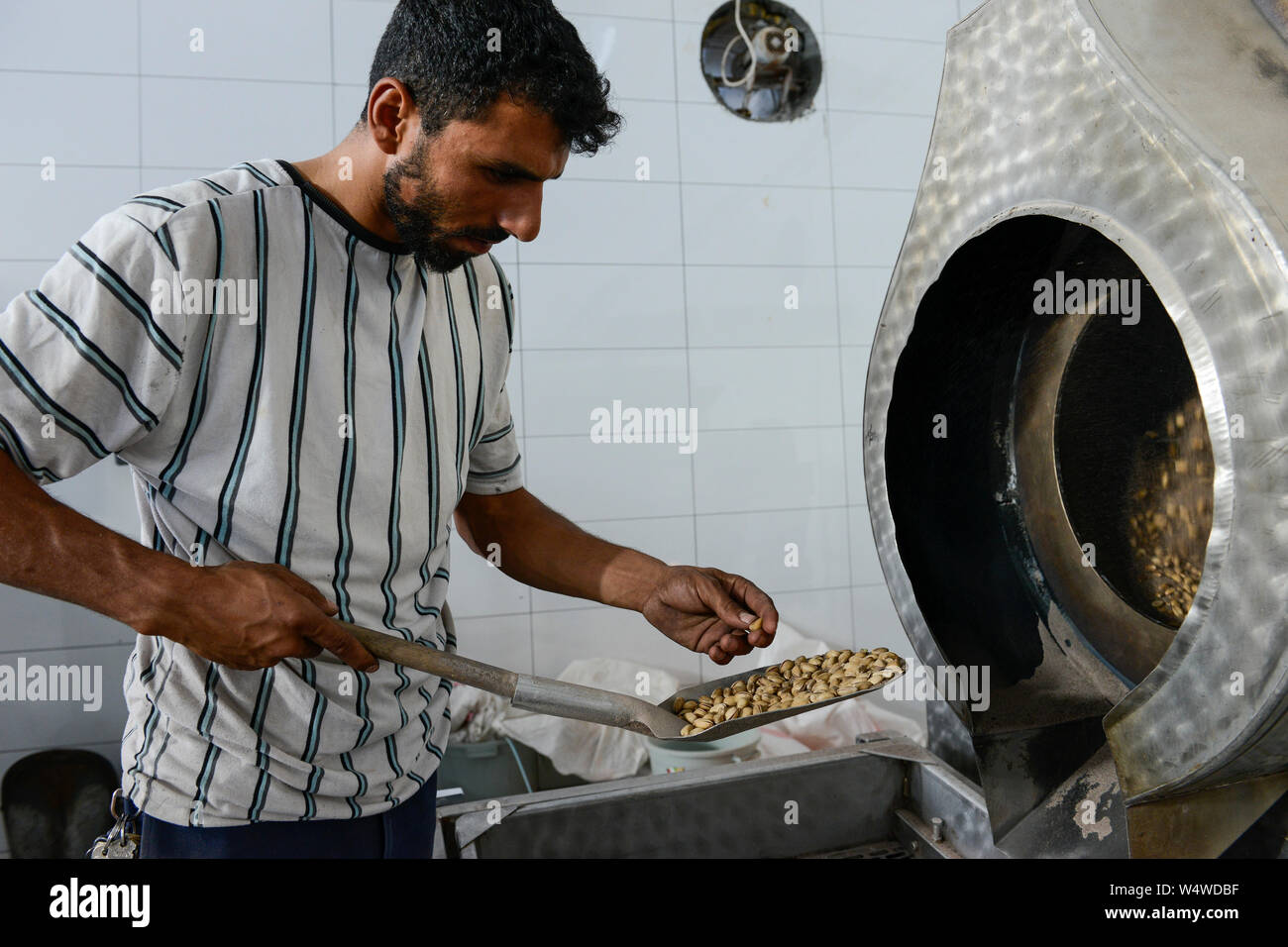 La Turquie, Nizip, usine de traitement de la pistache après la récolte, les pistaches grillées et salées sont / TUERKEI, Nizip, Fabrik für die Verarbeitung von Pistazien, geroestet gesalzen und werden Banque D'Images