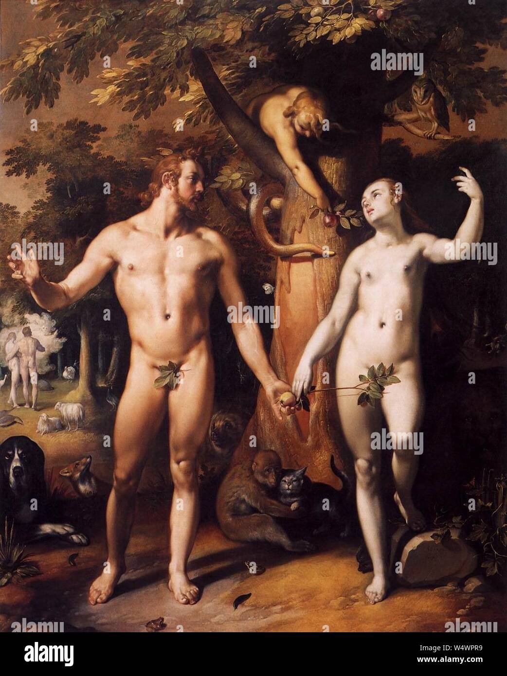 Cornelis Cornelisz. van Haarlem - la chute de l'Homme - Banque D'Images