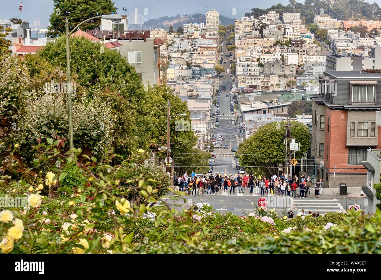 Les touristes prenant des photos sur Lombard Street à San Francisco, Californie Banque D'Images
