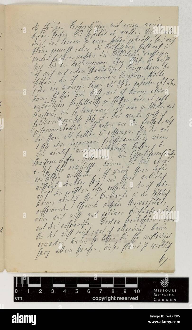 Correspondance - Eichler (août) et d'Engelmann (George) (Feb 16, 1875 (2)) Banque D'Images