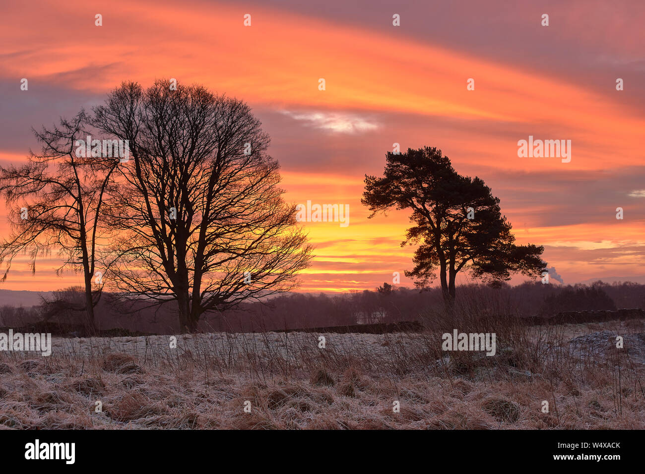 Lever du soleil d'hiver à l'est du Marchfield Roundall (55° 4' 55,63' N, 3° 35' 27,1' W), Marchfields, Dumfries, Ecosse Banque D'Images