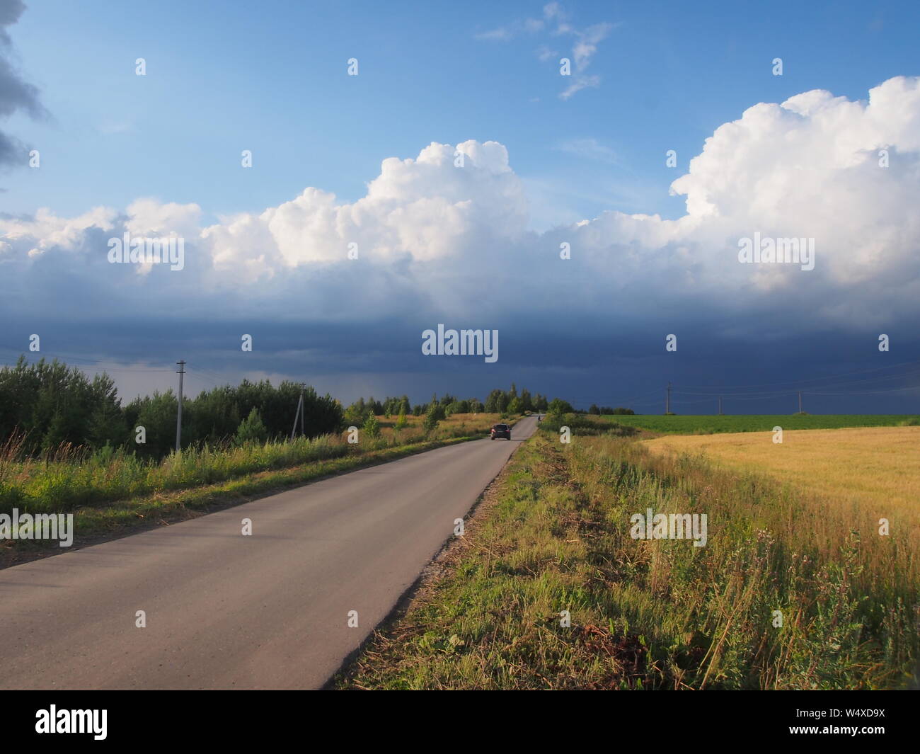 Paysage rural en été. Les champs, Ciel, nuages. Paysage. Banque D'Images