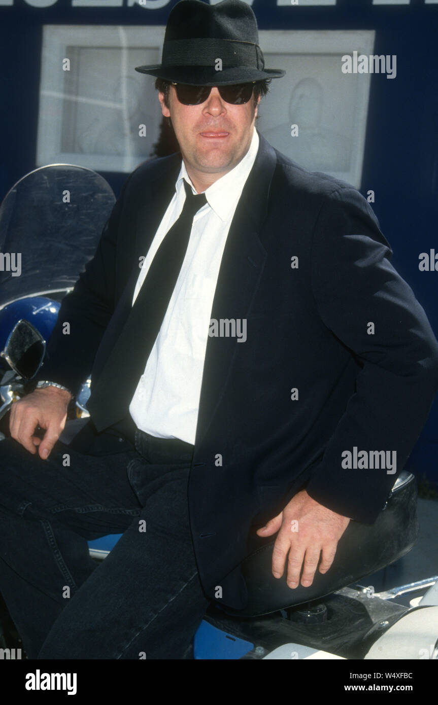 Dan Akroyd 1994 Photo de Michael Ferguson/PHOTOlink Banque D'Images