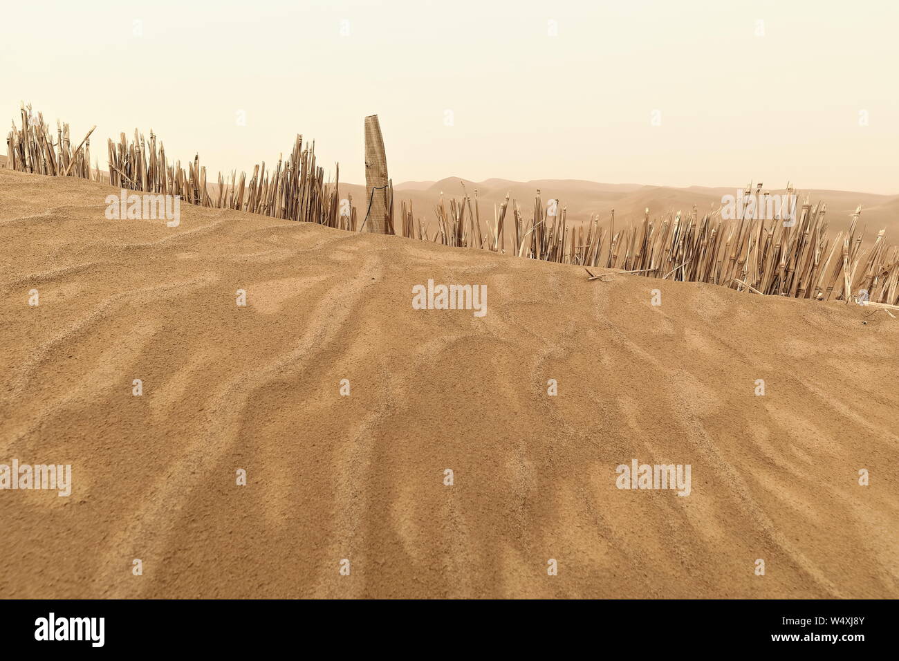 Barrières de contrôle du sable pour damier. Région de Taklamakan Desert-Xinjiang Uyghur-Chine-0359 Banque D'Images