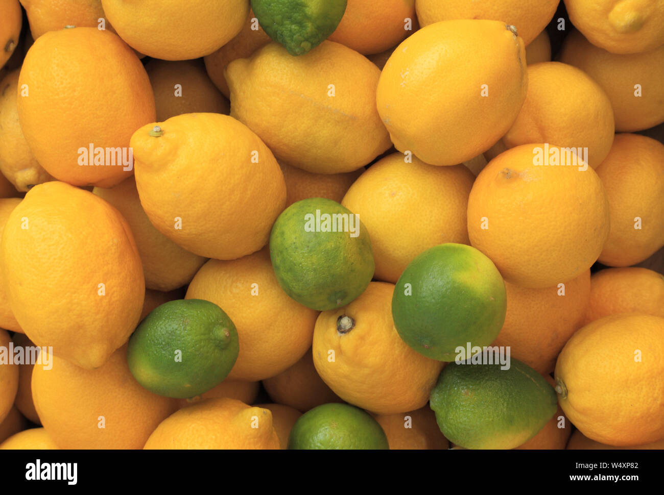 Citrons, limes, farm shop Banque D'Images