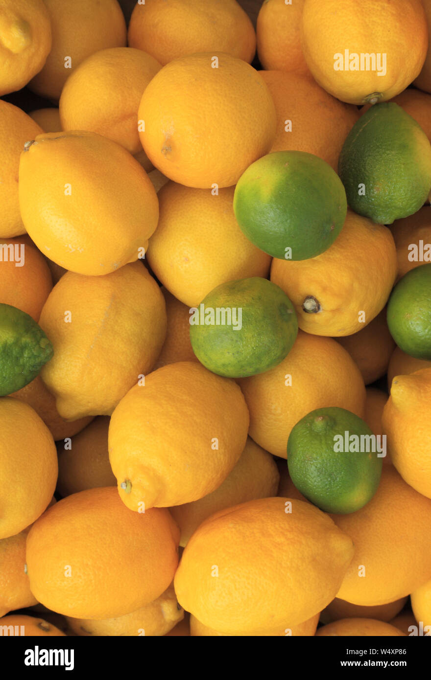 Citrons, limes, farm shop Banque D'Images