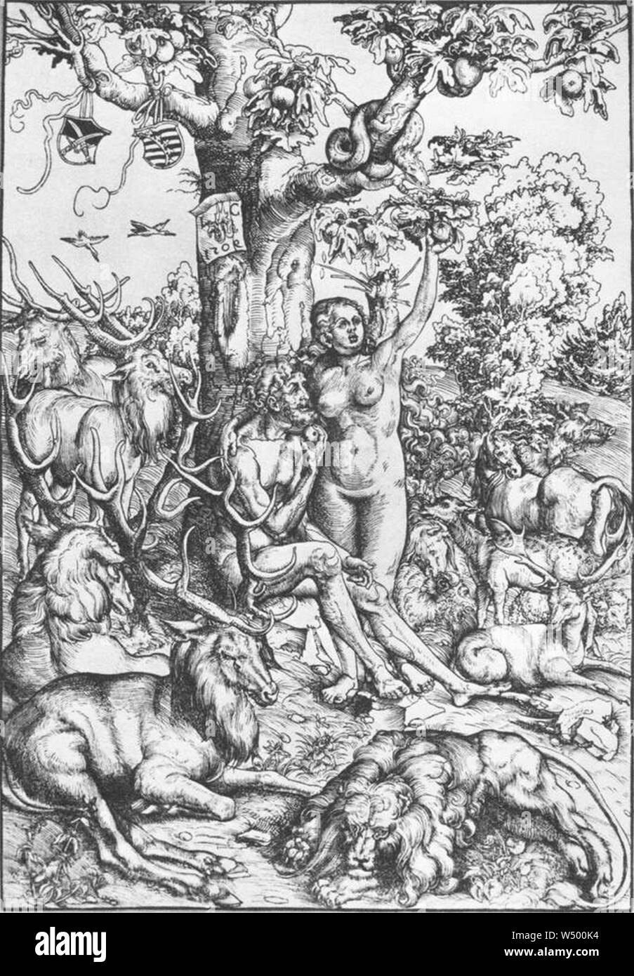 Lucas Cranach d. Ä. - Adam et Eve - Banque D'Images