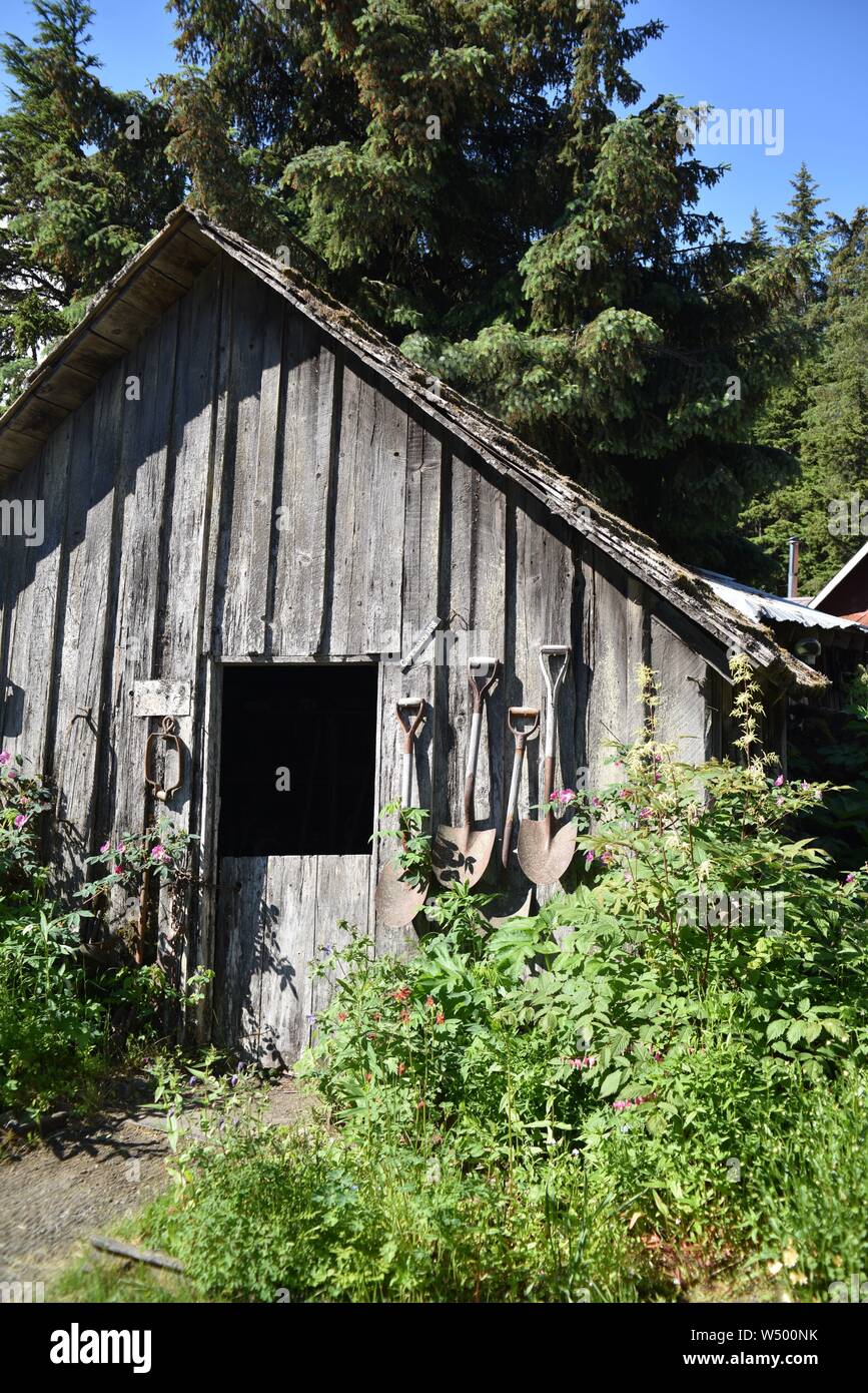 Girdwood, AK, États-Unis d'Amérique. Le 21 juin 2019. Crow Creek Mine d'hydraulique est. vers 1896 la production de 700 184 grammes par mois au maximum de fonctionnement. Aujourd'hui, gold pan Banque D'Images