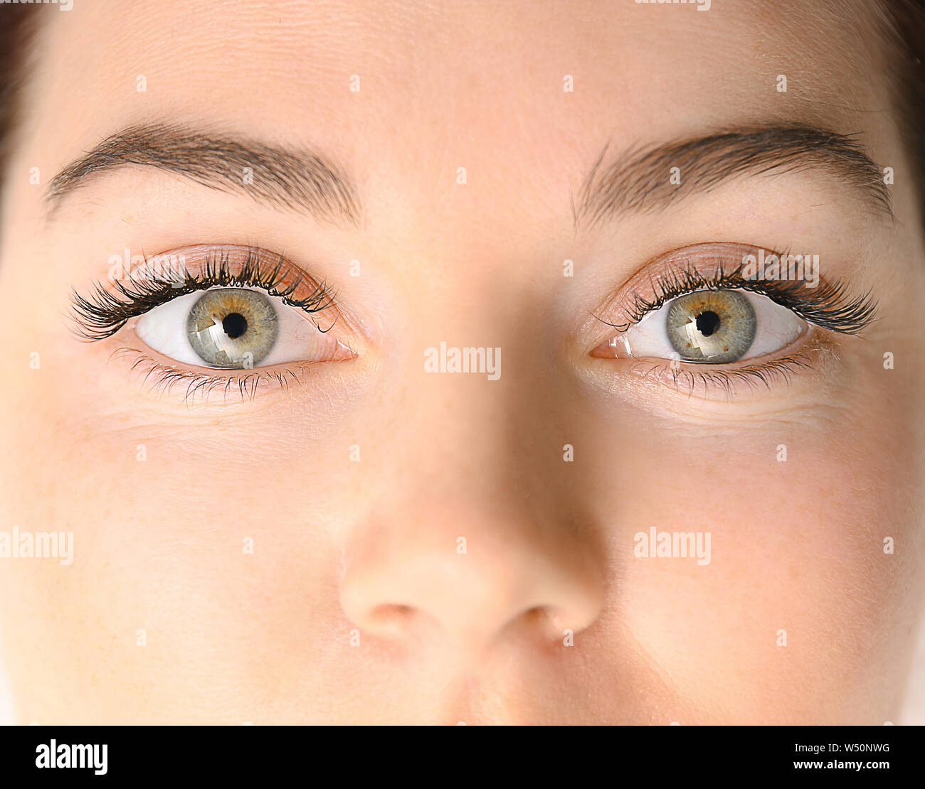 Belle jeune femme avec des extensions de cils, gros plan Banque D'Images